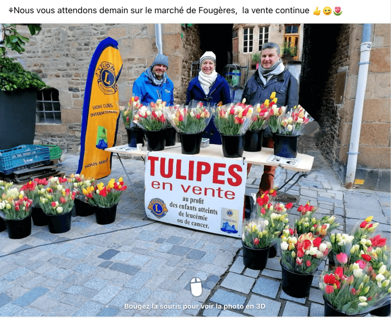 vente de tulipes au profit de la federation enfants cancers sante par le club lions de fougeres