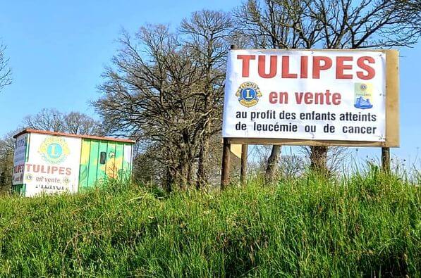 vente de tulipes au profit de la federation enfants cancers sante par le club lions de fougeres2