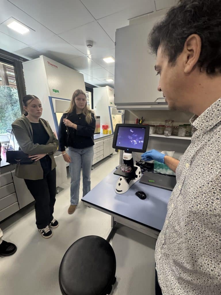 CSM : une plongée inspirante dans la recherche contre les tumeurs cérébrales 1 CSM une plongee inspirante dans la recherche contre les tumeurs cerebrales 2