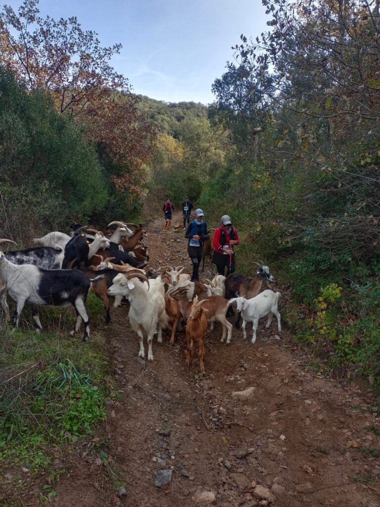 LArcoise un Trail au grand Coeur 17