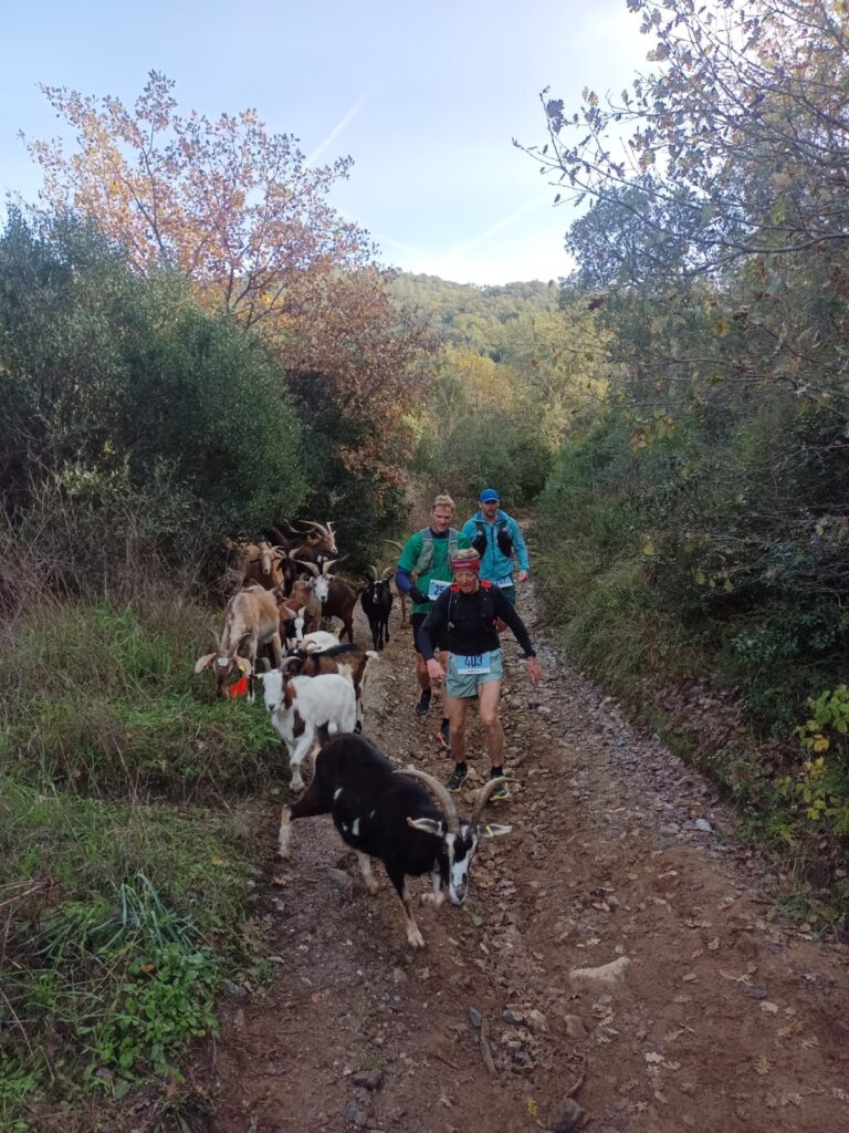 LArcoise un Trail au grand Coeur 8