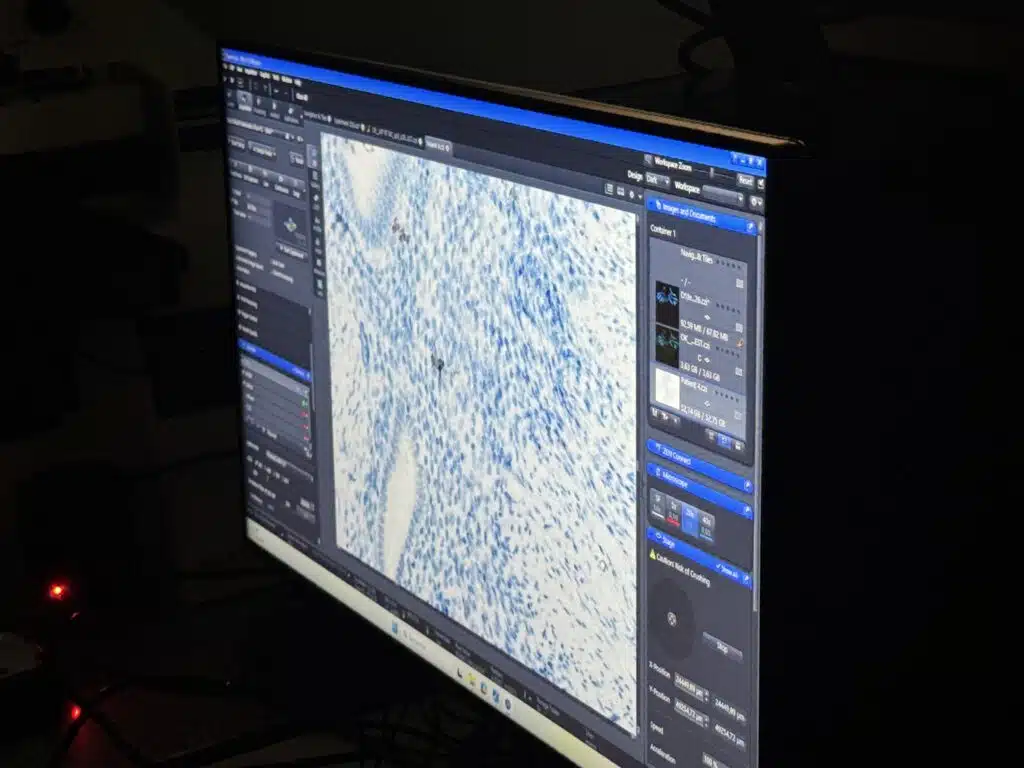Un nouvel elan pour la recherche pediatrique a Monaco 7