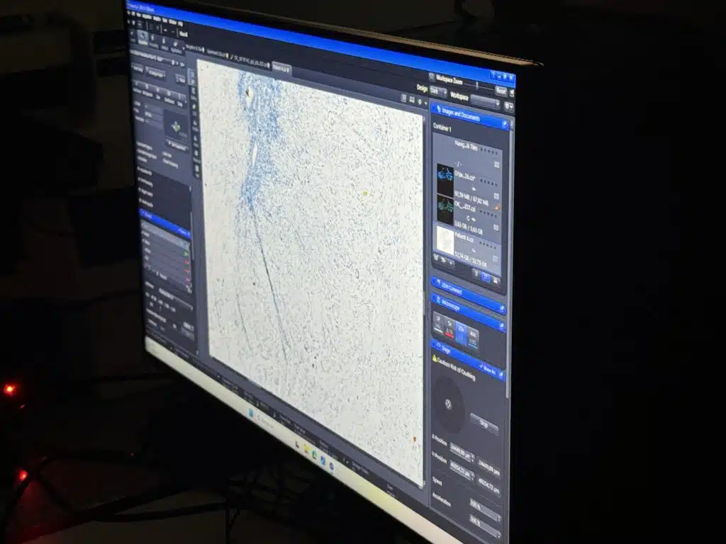 Un nouvel elan pour la recherche pediatrique a Monaco 8