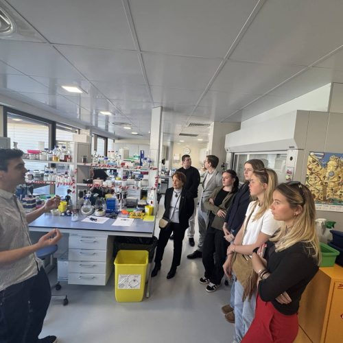 CSM une plongée inspirante dans la recherche contre les tumeurs cérébrales